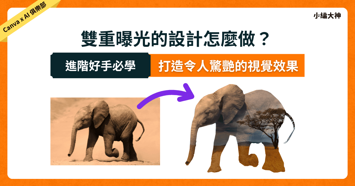 Canva設計:雙重曝光的設計怎麼做?